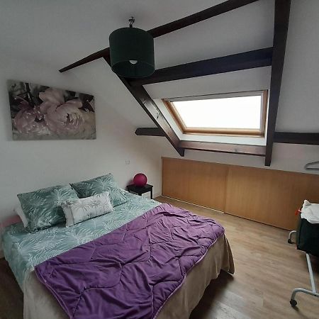 Apartmán T3 Hyper Centre Vannes Exteriér fotografie